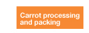 Carrot processing